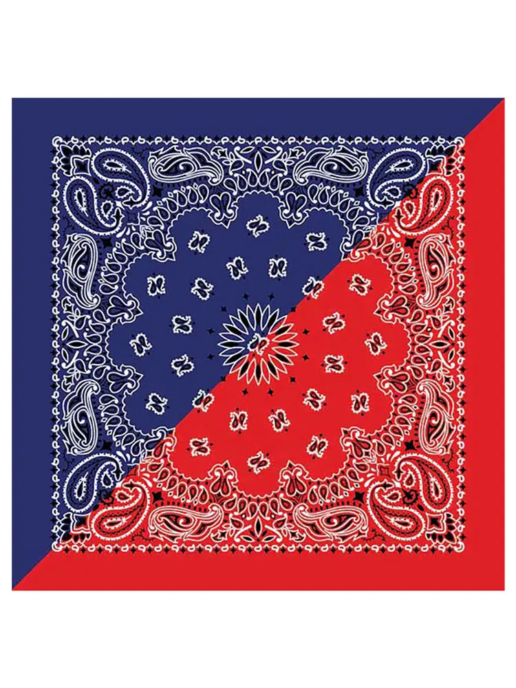 2 IN 1 Paisley Bandana