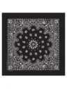 Classic Paisley Bandana