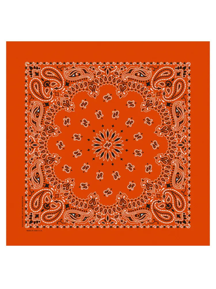 Classic Paisley Bandana