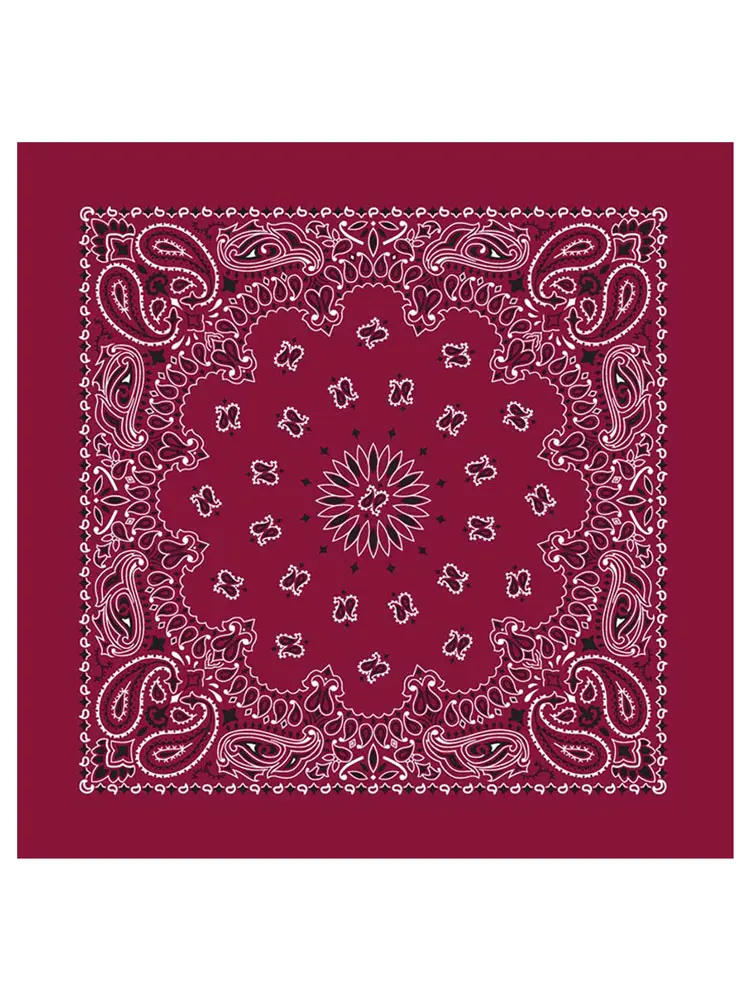 Classic Paisley Bandana