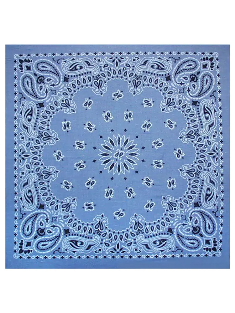 Classic Paisley Bandana