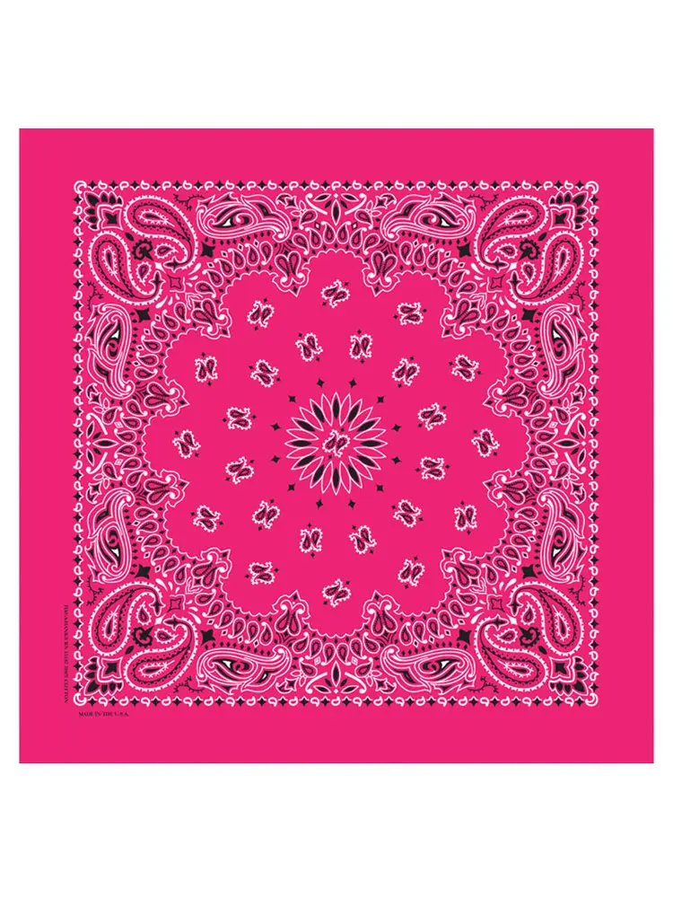 Classic Paisley Bandana