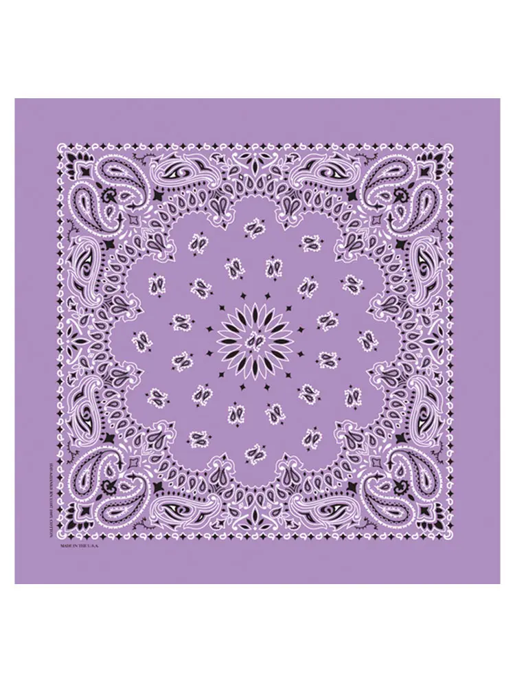 Classic Paisley Bandana
