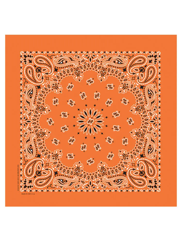 Classic Paisley Bandana
