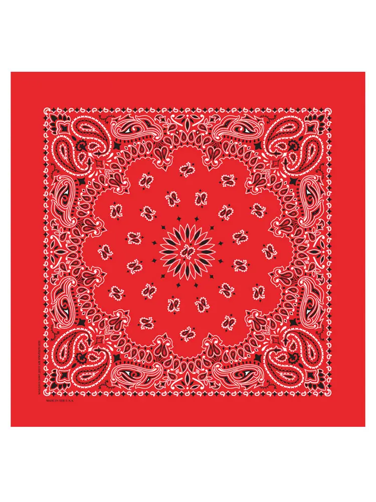 Classic Paisley Bandana
