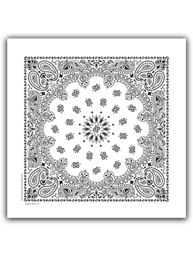 Classic Paisley Bandana