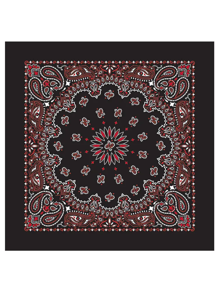 [BA2101] Classic Paisley Bandana
