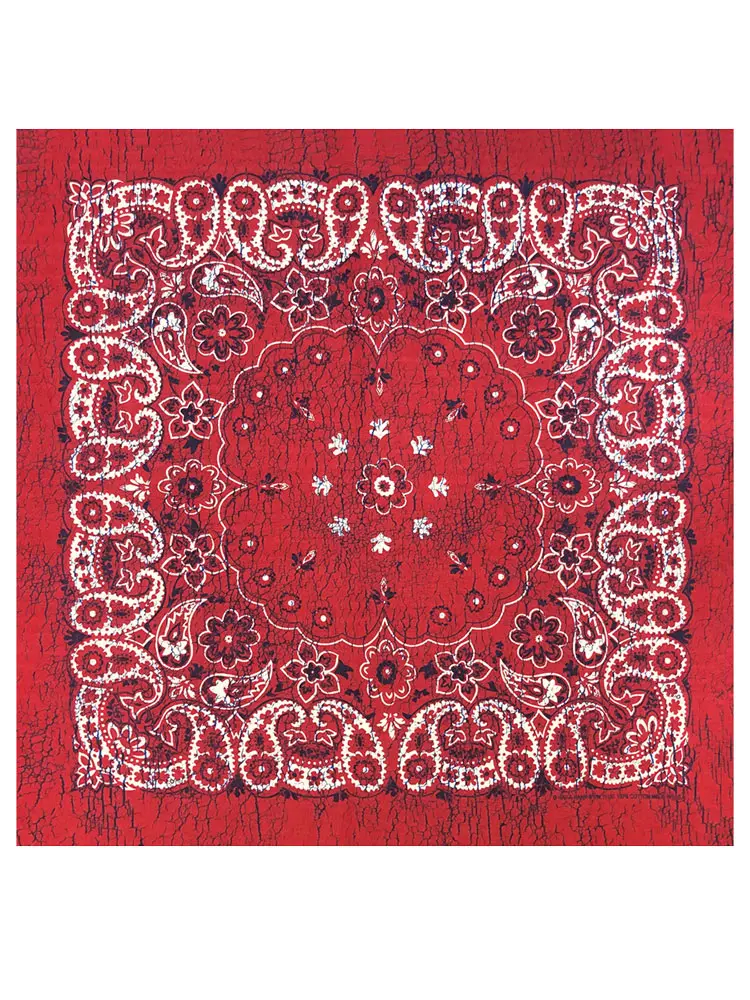 Rustic Paisley Bandana