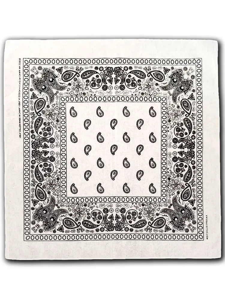 Paisley Bandana