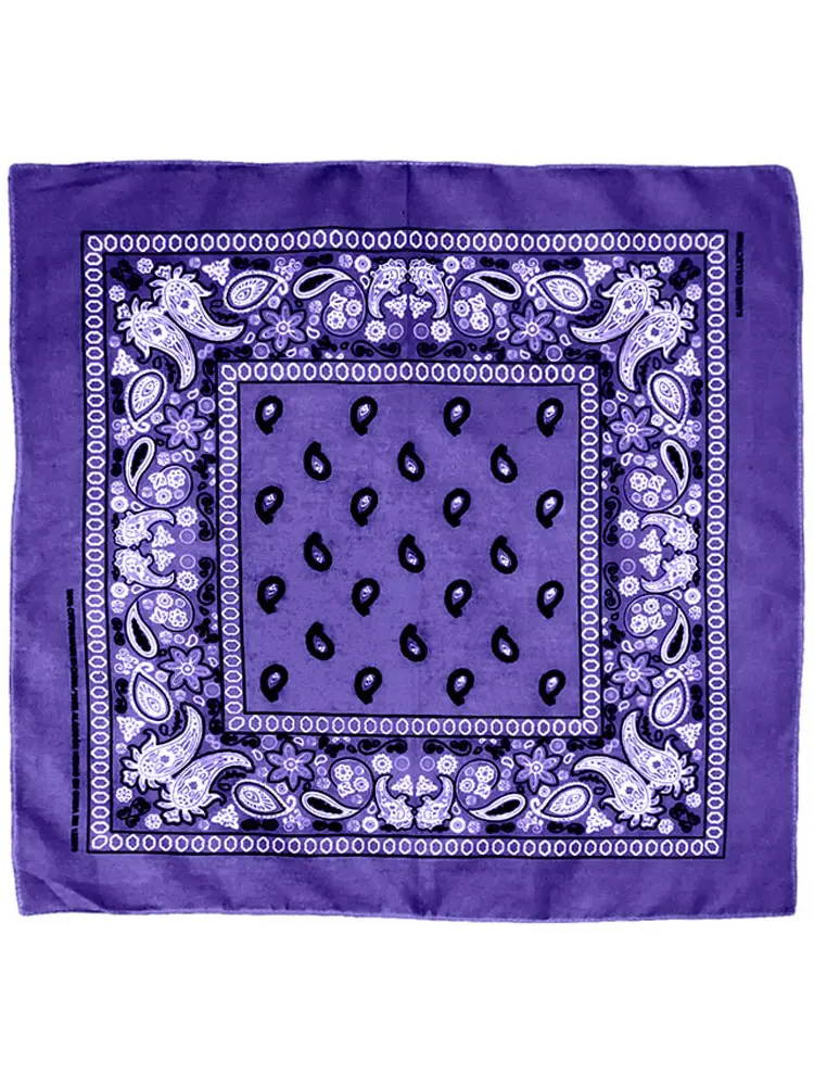 Paisley Bandana