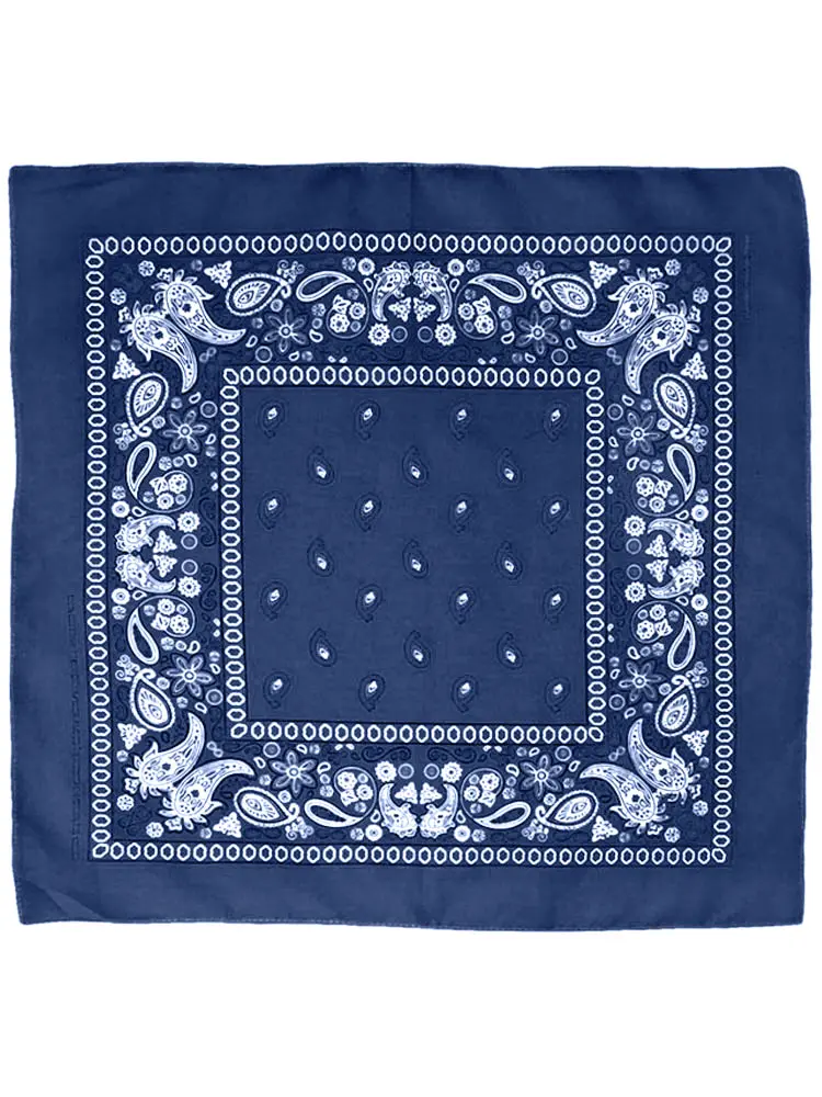 Paisley Bandana