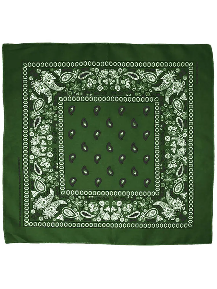 Paisley Bandana