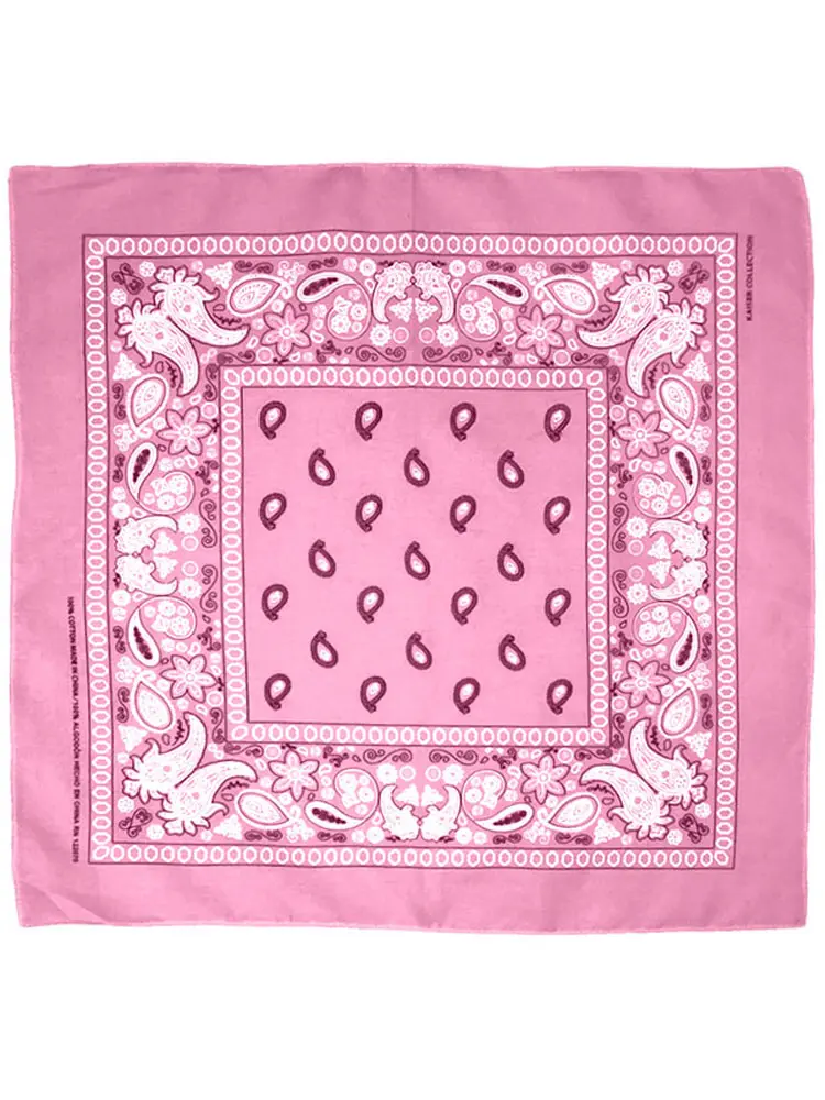 Paisley Bandana