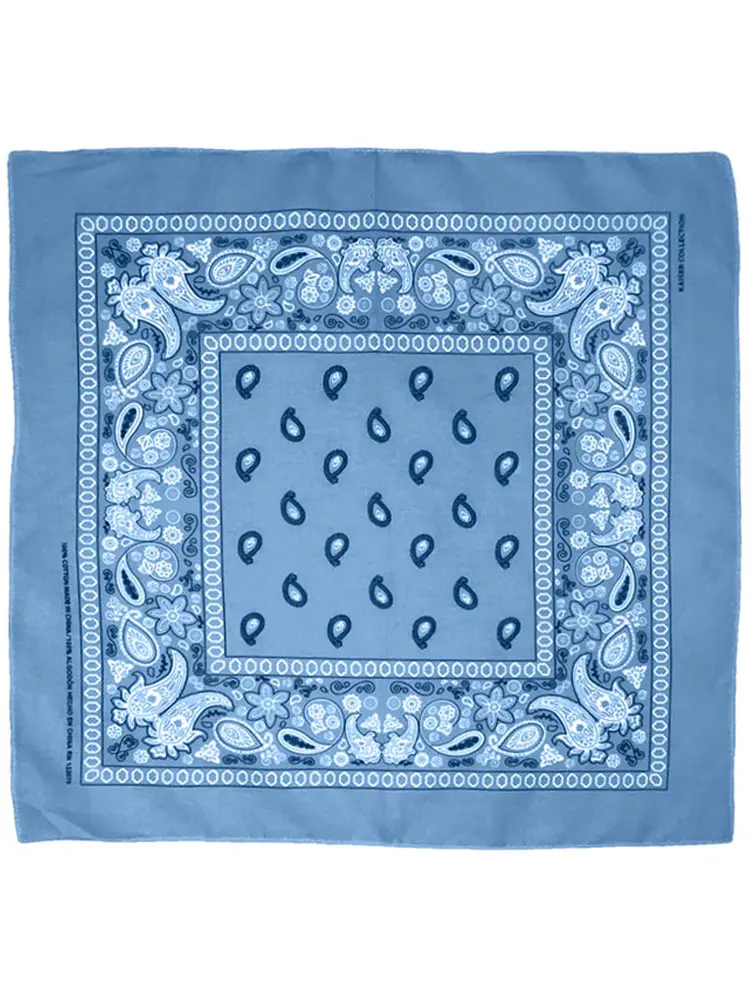 Paisley Bandana