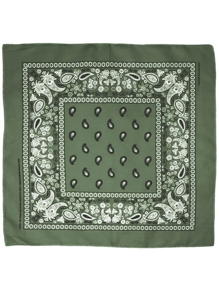 Paisley Bandana