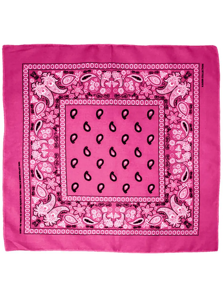 Paisley Bandana
