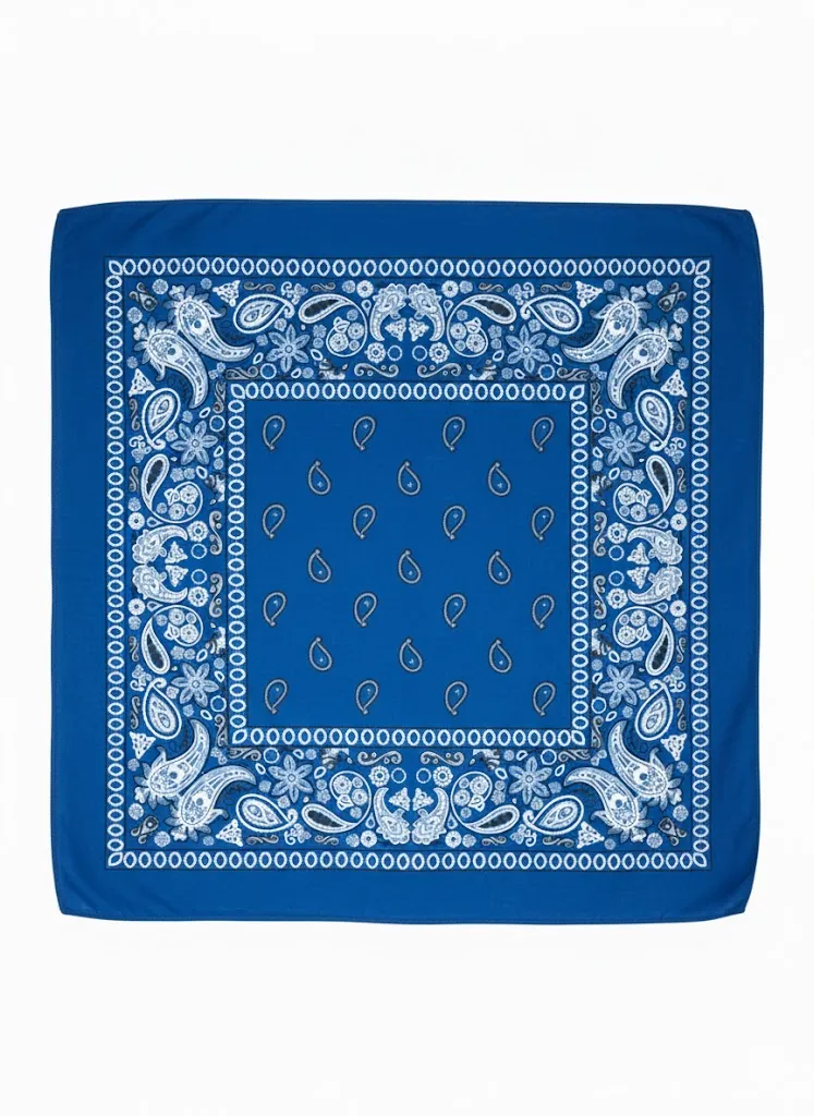 Paisley Bandana