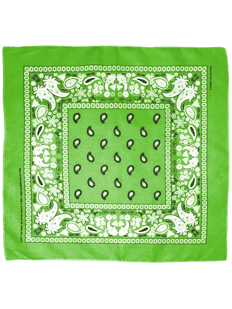 Paisley Bandana