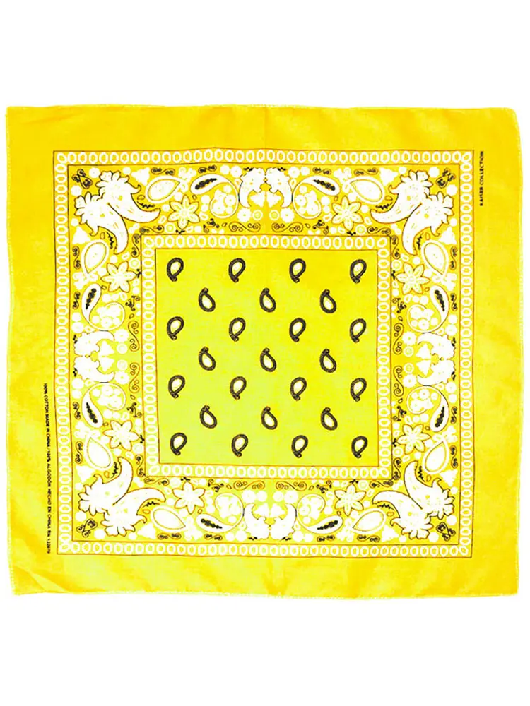 Paisley Bandana