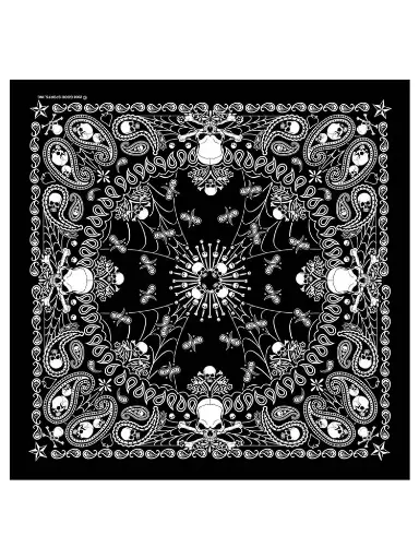 [BAN2921] Skull & Crossbones Paisley Bandana