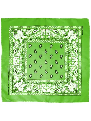 Paisley Bandana