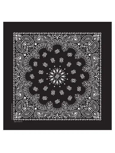 Classic Paisley Bandana