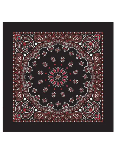[BA2101] Paisley Bandana